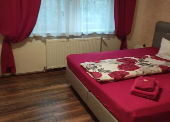 招待所 & Ferienhuetten Zur Alten Werft