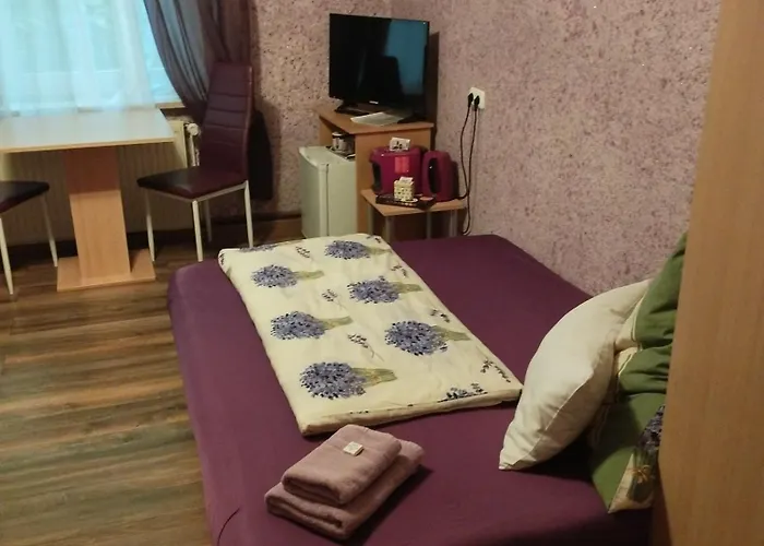 & Ferienhuetten Zur Alten Werft 招待所