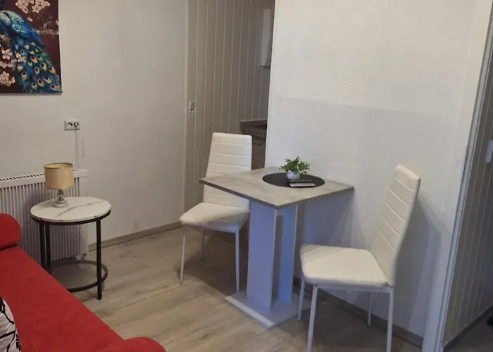 & Ferienhuetten Zur Alten Werft 招待所