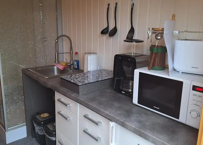 & Ferienhuetten Zur Alten Werft 3* Alsleben