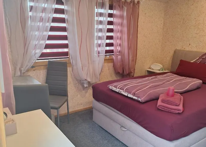 招待所 & Ferienhuetten Zur Alten Werft