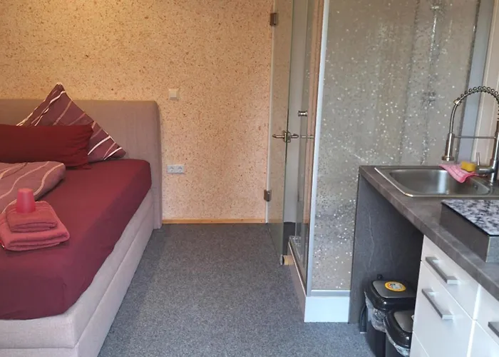 招待所 & Ferienhuetten Zur Alten Werft